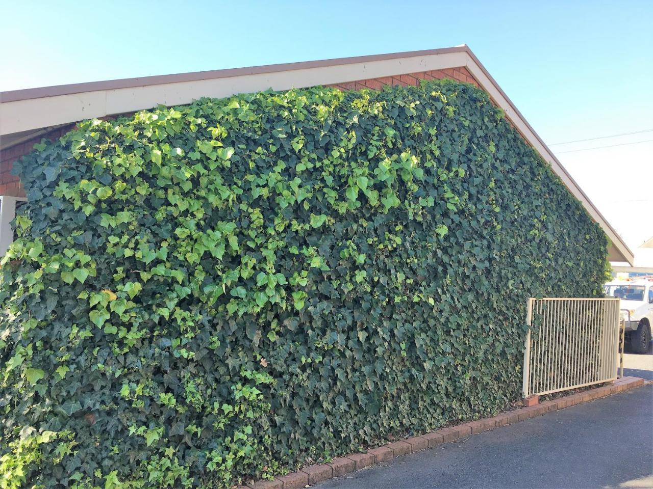 Shannon Motor Inn Geelong Exterior photo